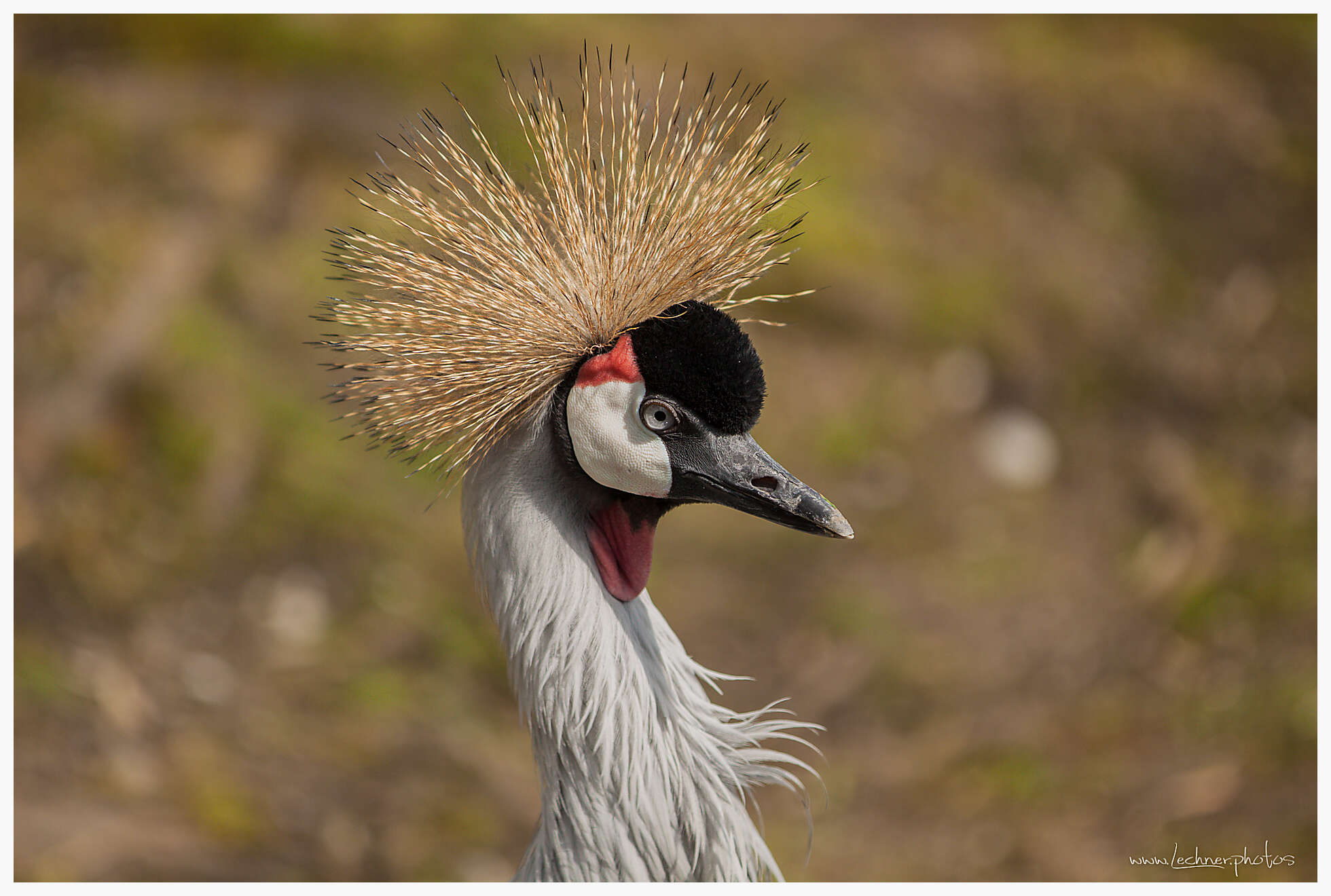 20160410 133025 IMG 0304