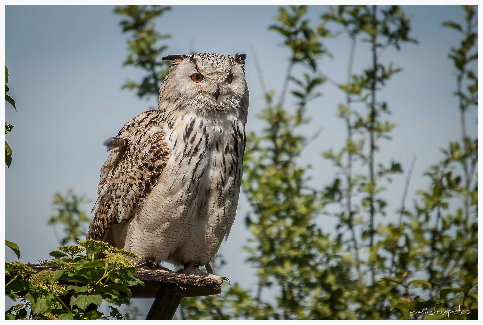 20160521 150949 IMG 0445