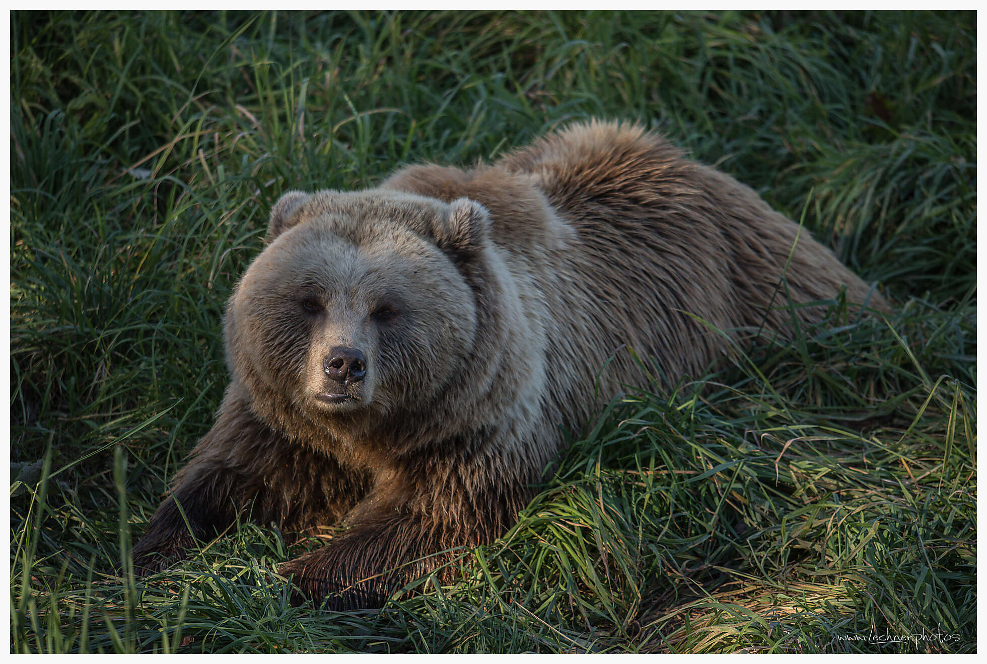 20171014 155813 949A5549