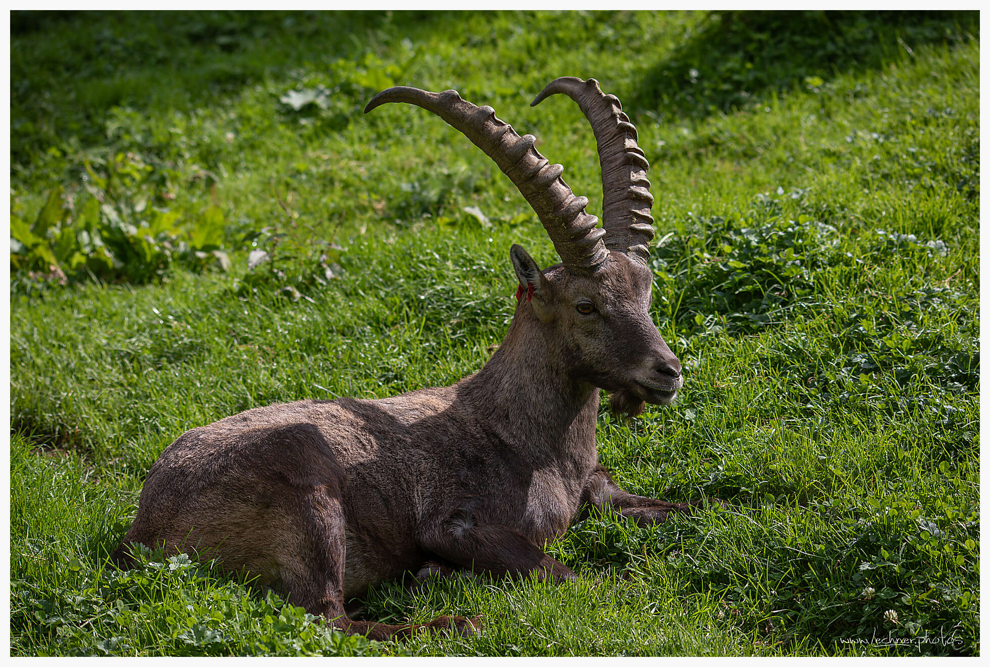 20180829 125007 949A0063