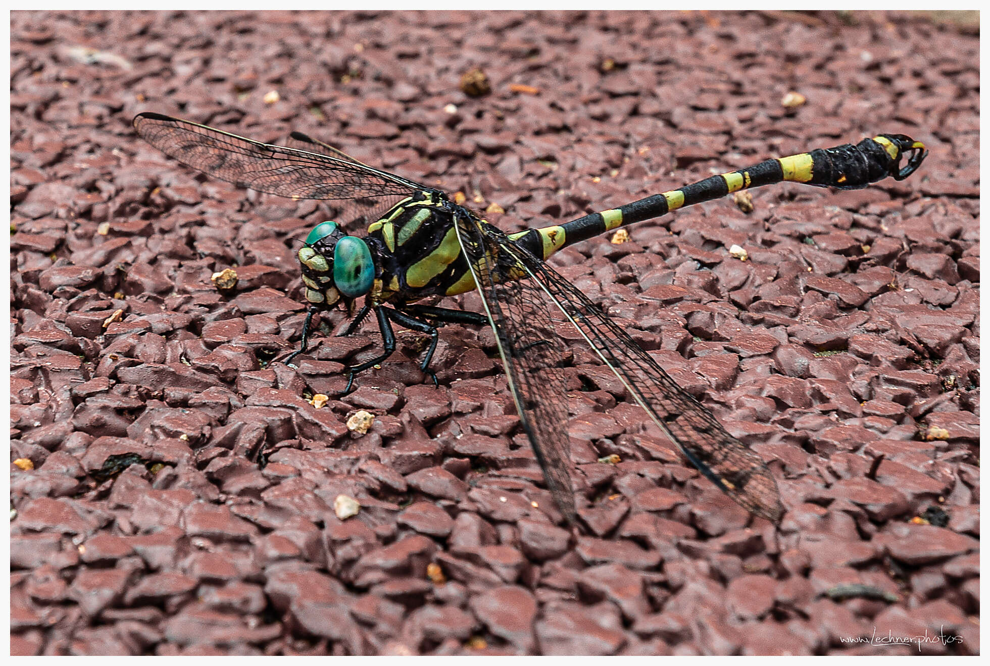 20190804 095601  49A7913