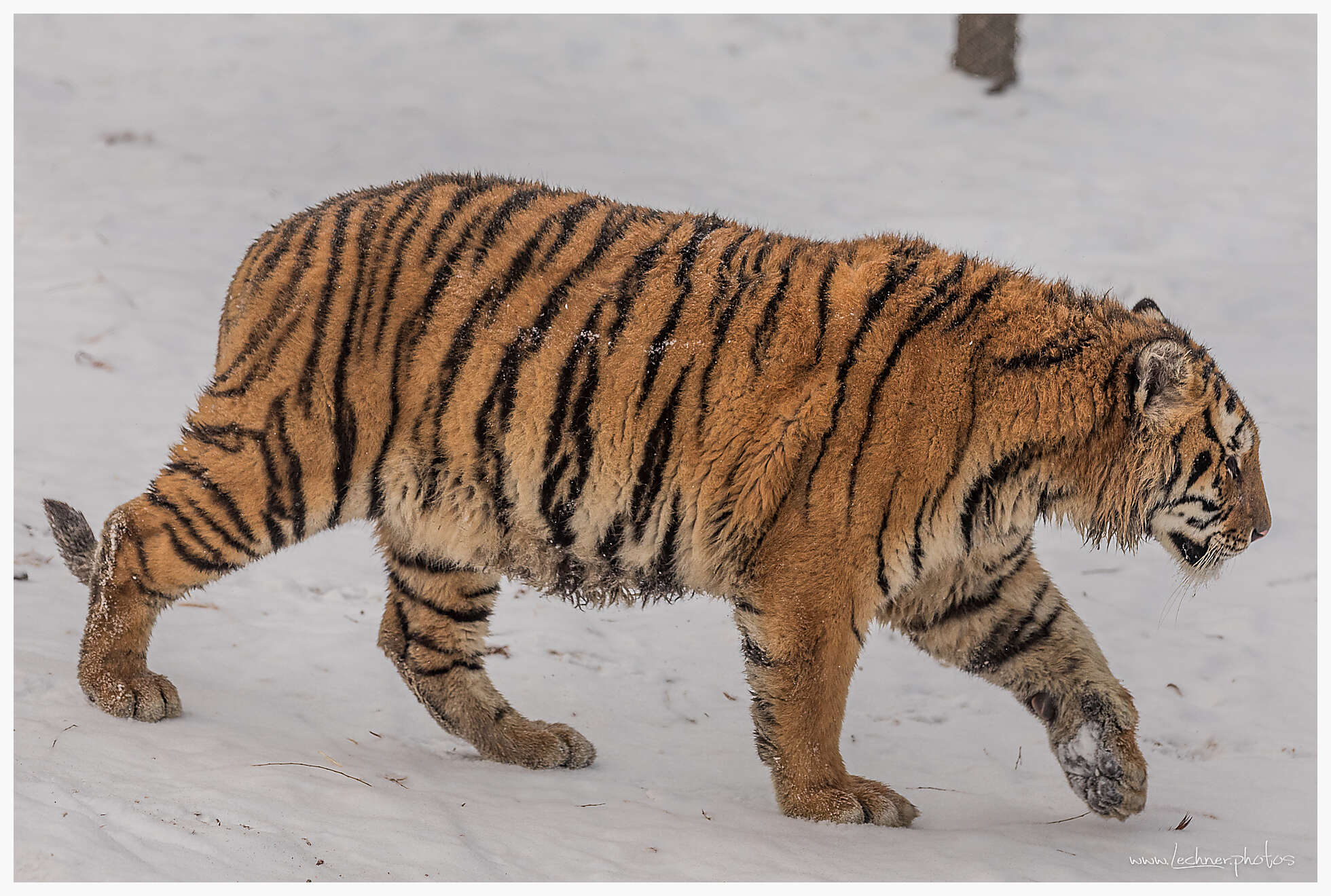 20200119 104808  49A3854