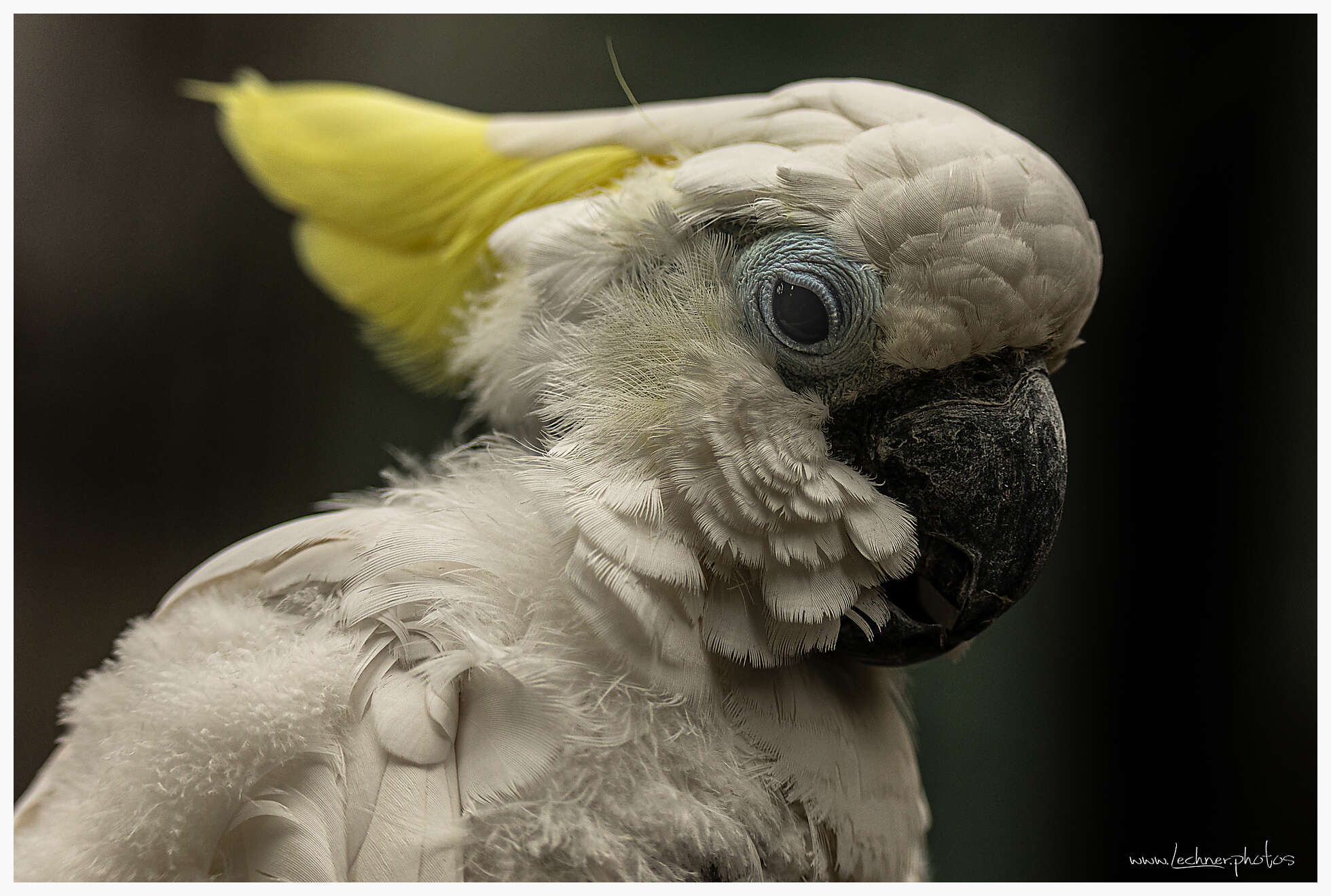 20210124 11 32 04  49A2849