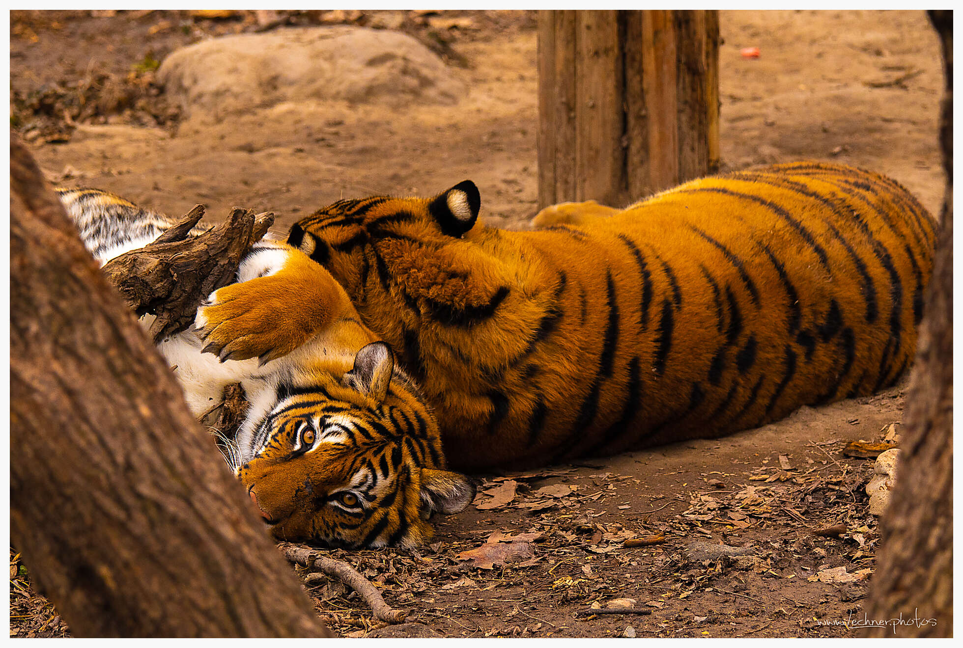 20210124 13 01 08  49A3582