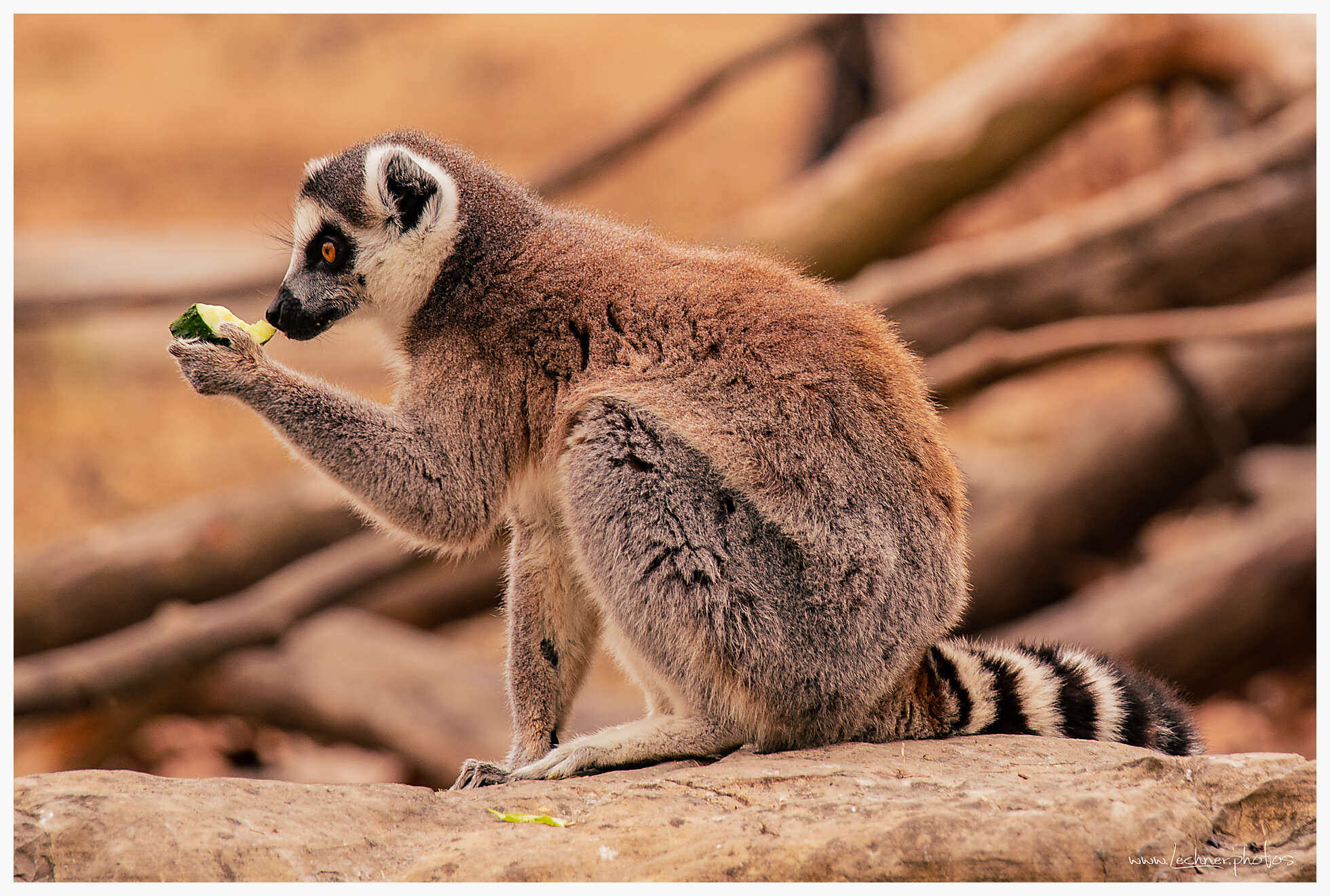 20210124 13 33 08  49A3617