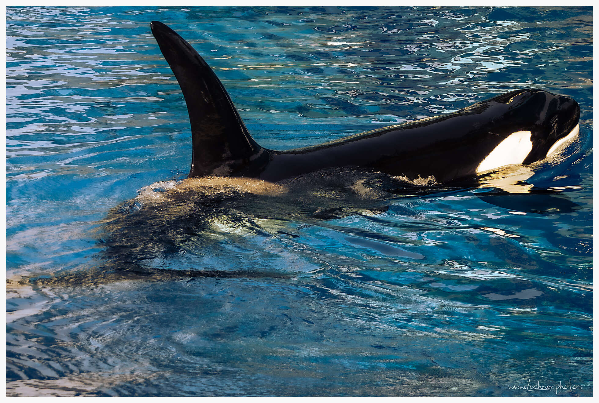 20210130 13 11 47  49A3807