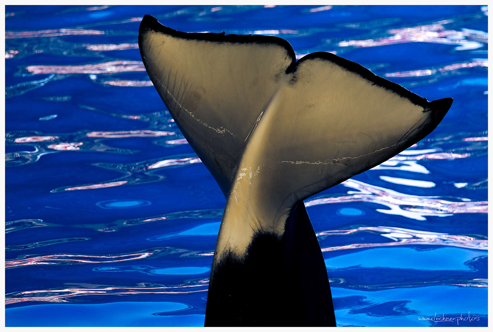 20210130 13 27 00  49A4183