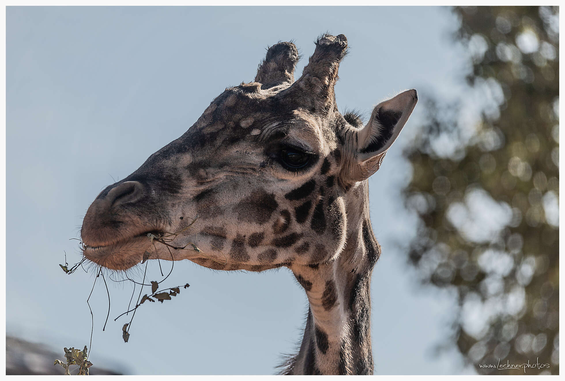 20210221 09 34 39  49A6008