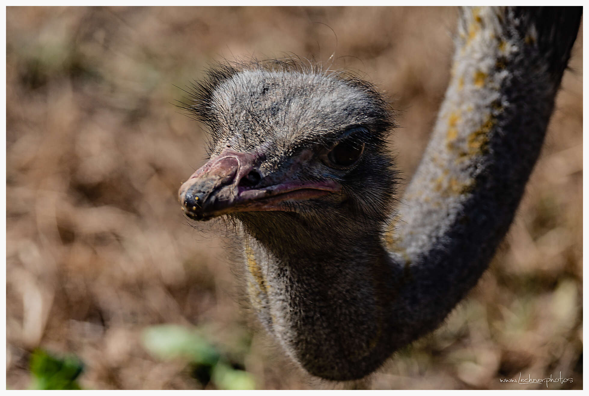 20210221 09 49 24  49A6150