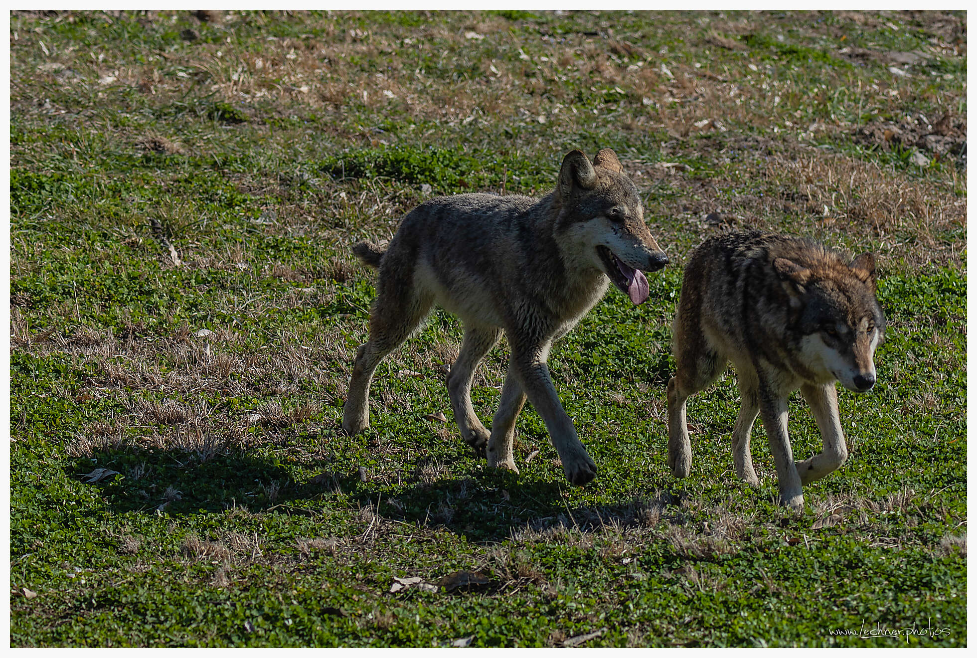 20210221 09 53 03  49A6172