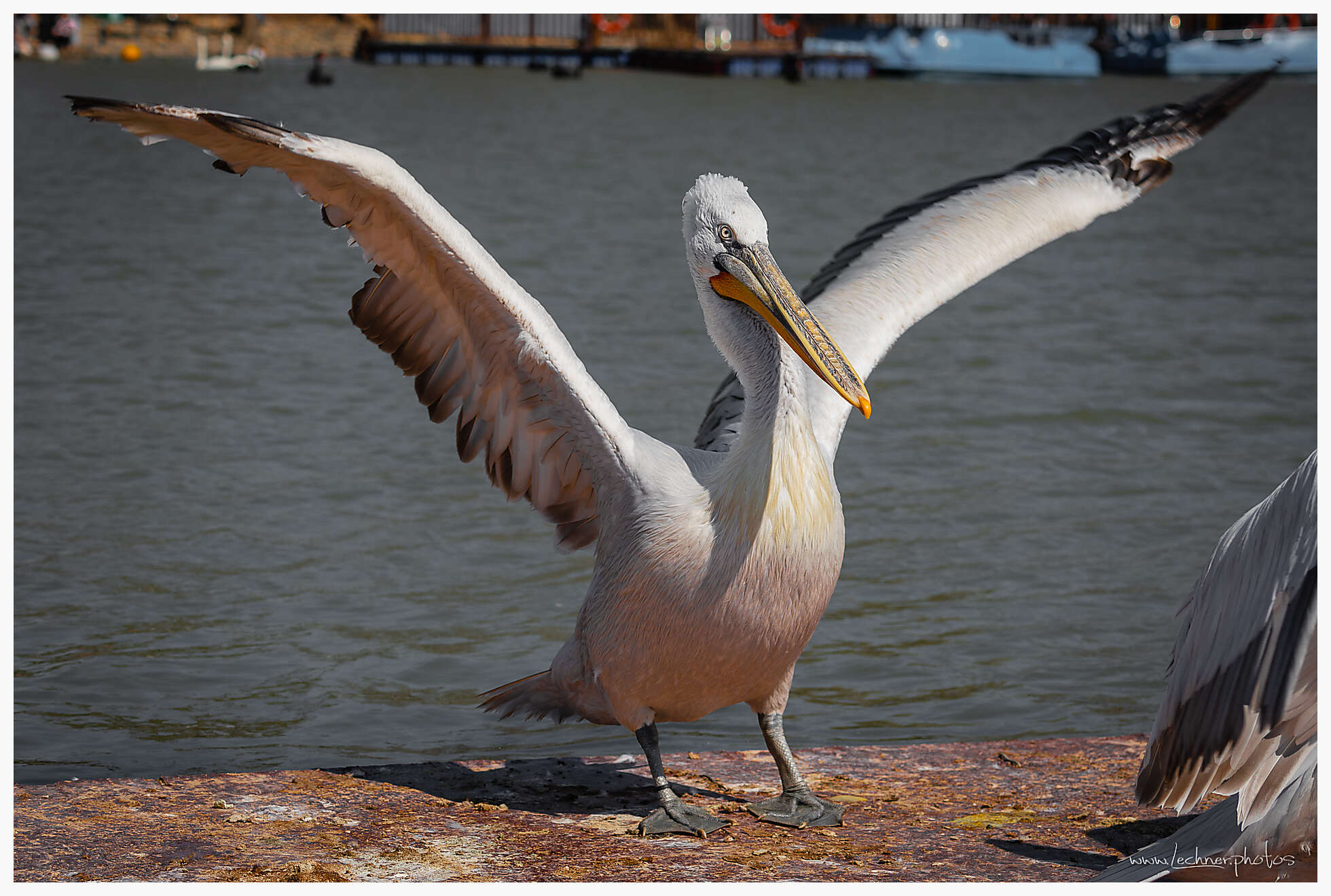 20210221 10 53 07  49A6555