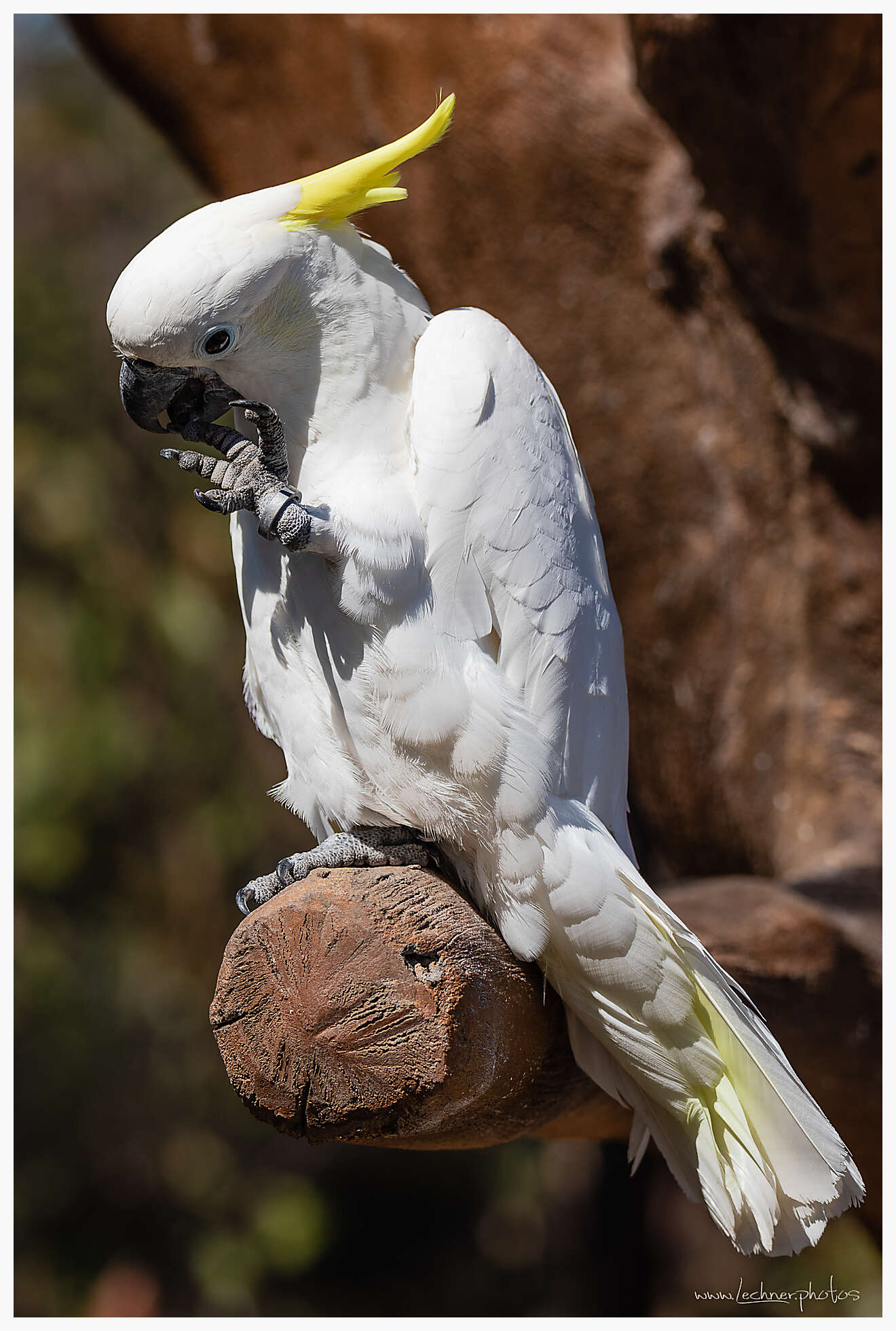 20210221 12 24 30  49A6858