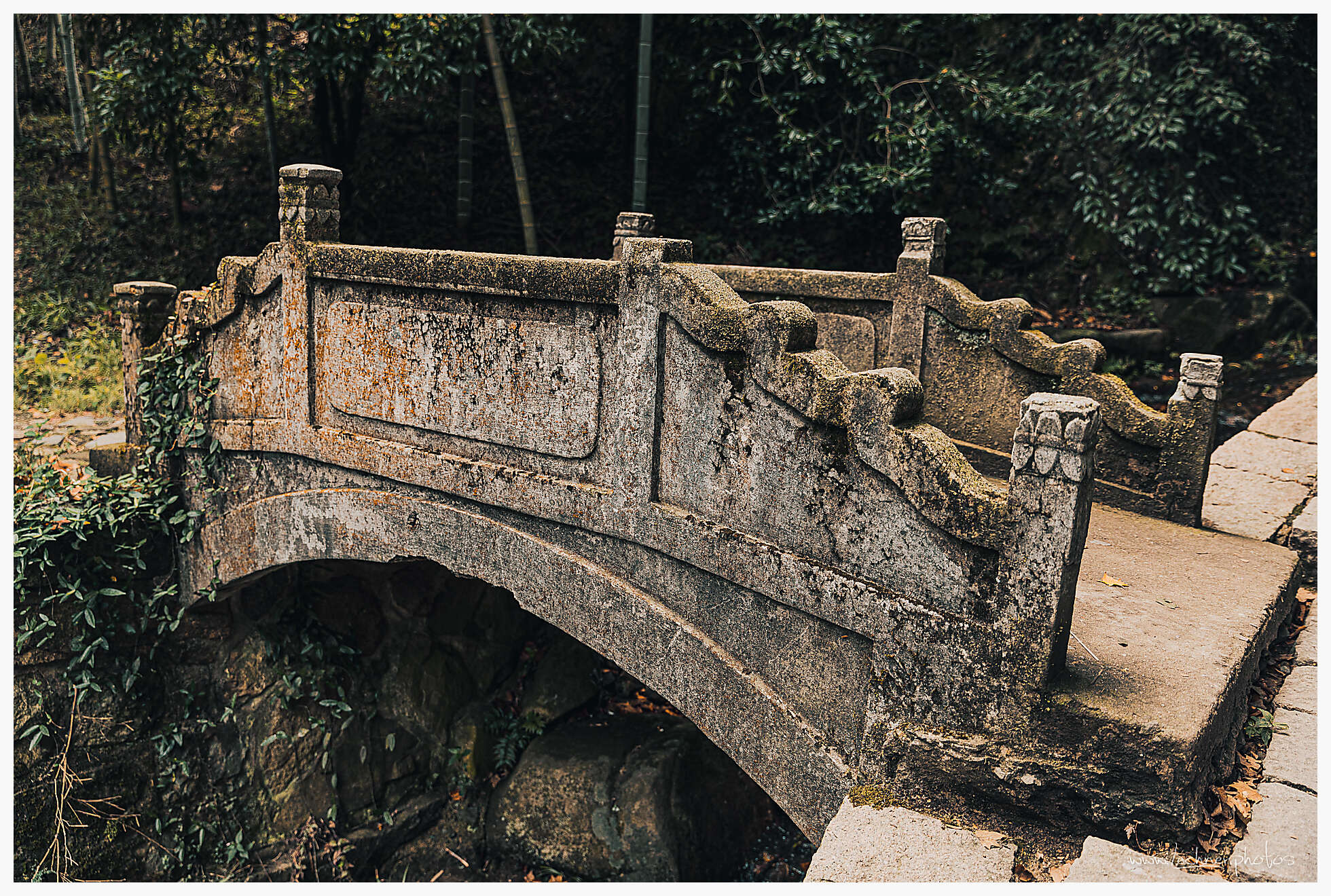 20190805 045907  49A7954