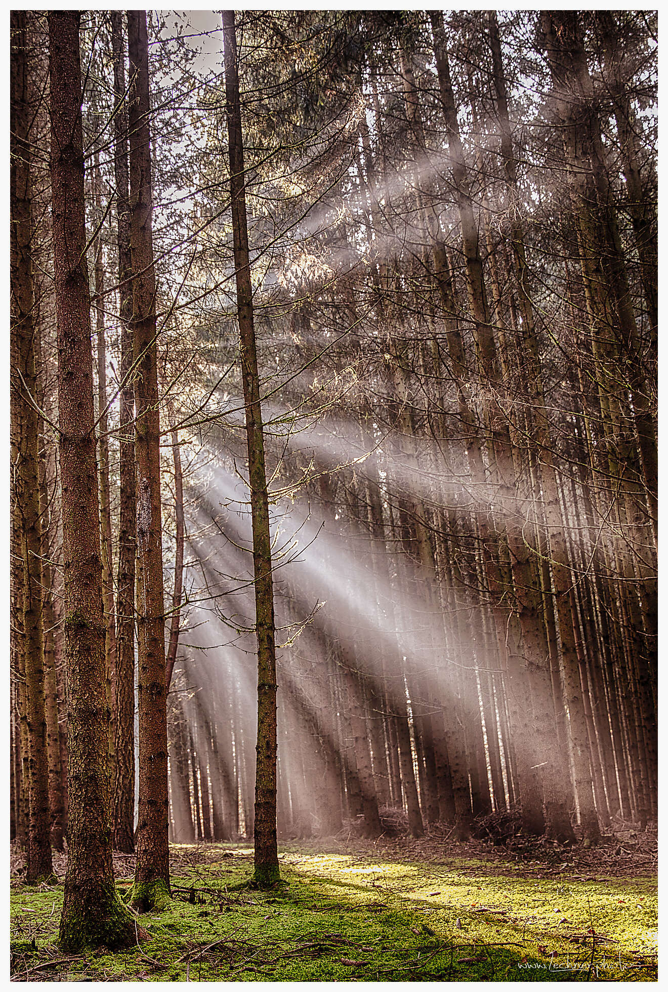 20141102 144306 IMG 0109 HDR