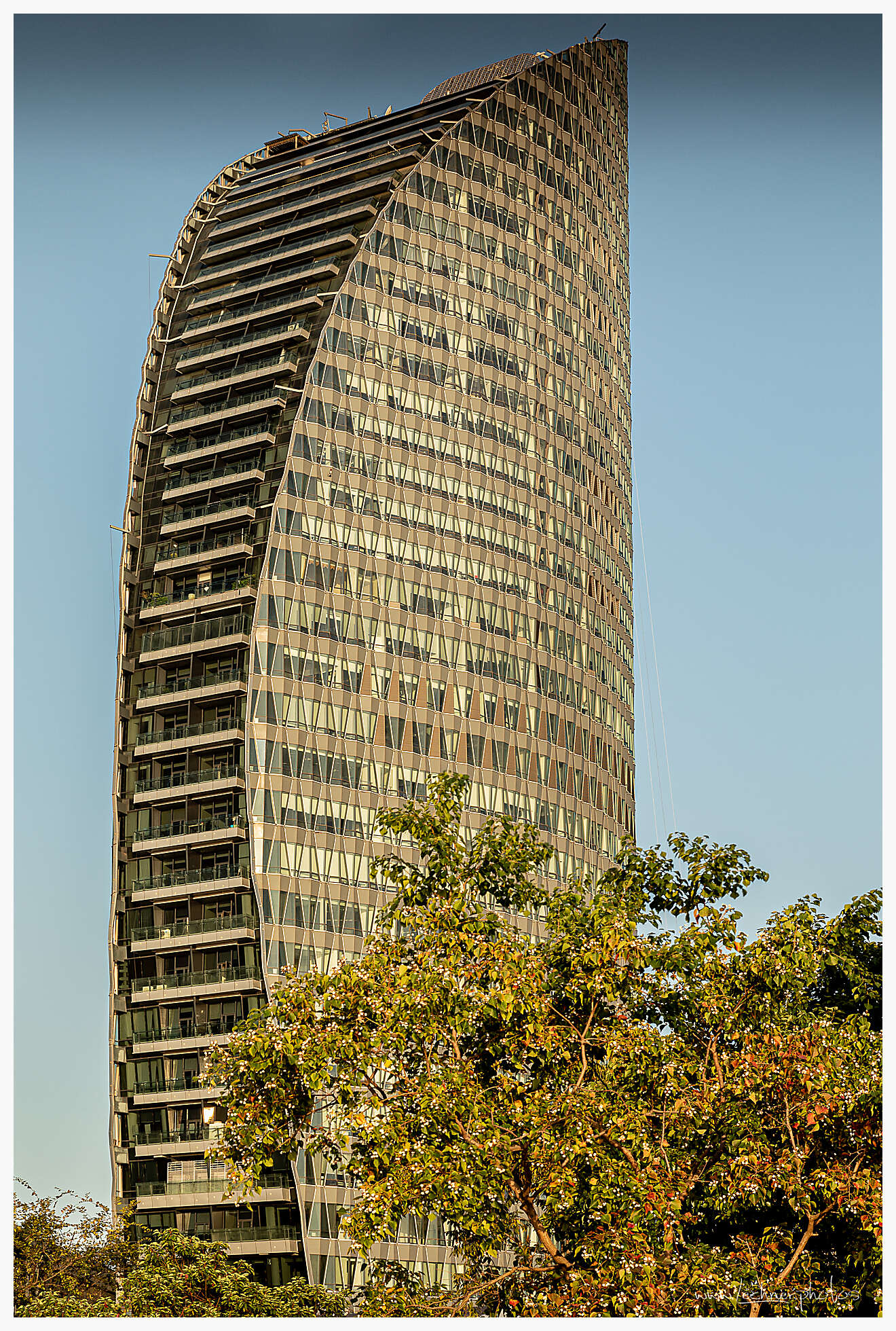 20201031 06 59 09  49A1151