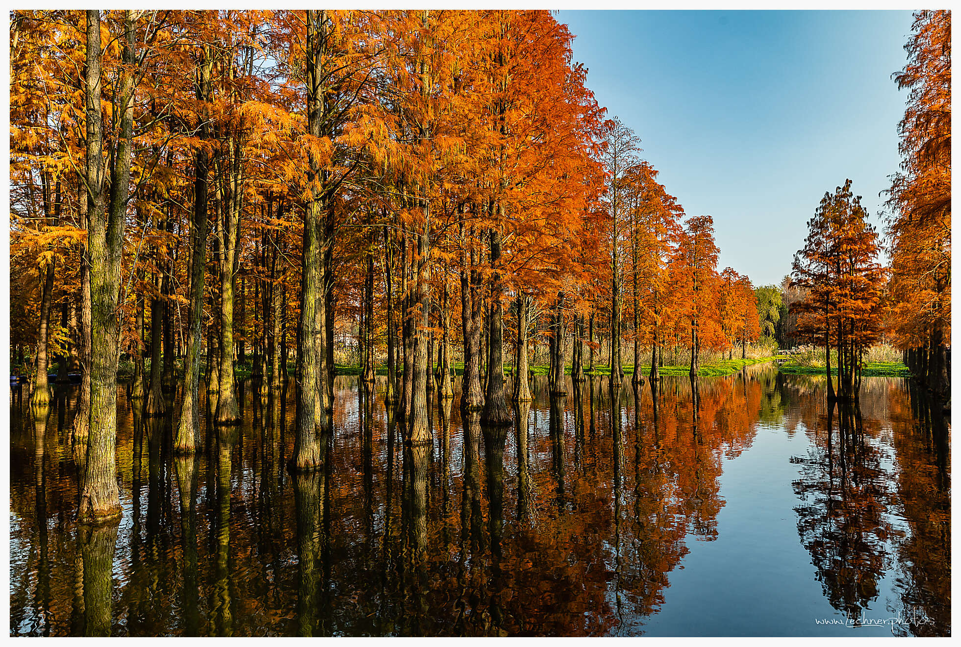 Qingxi Water forest Shanghai
