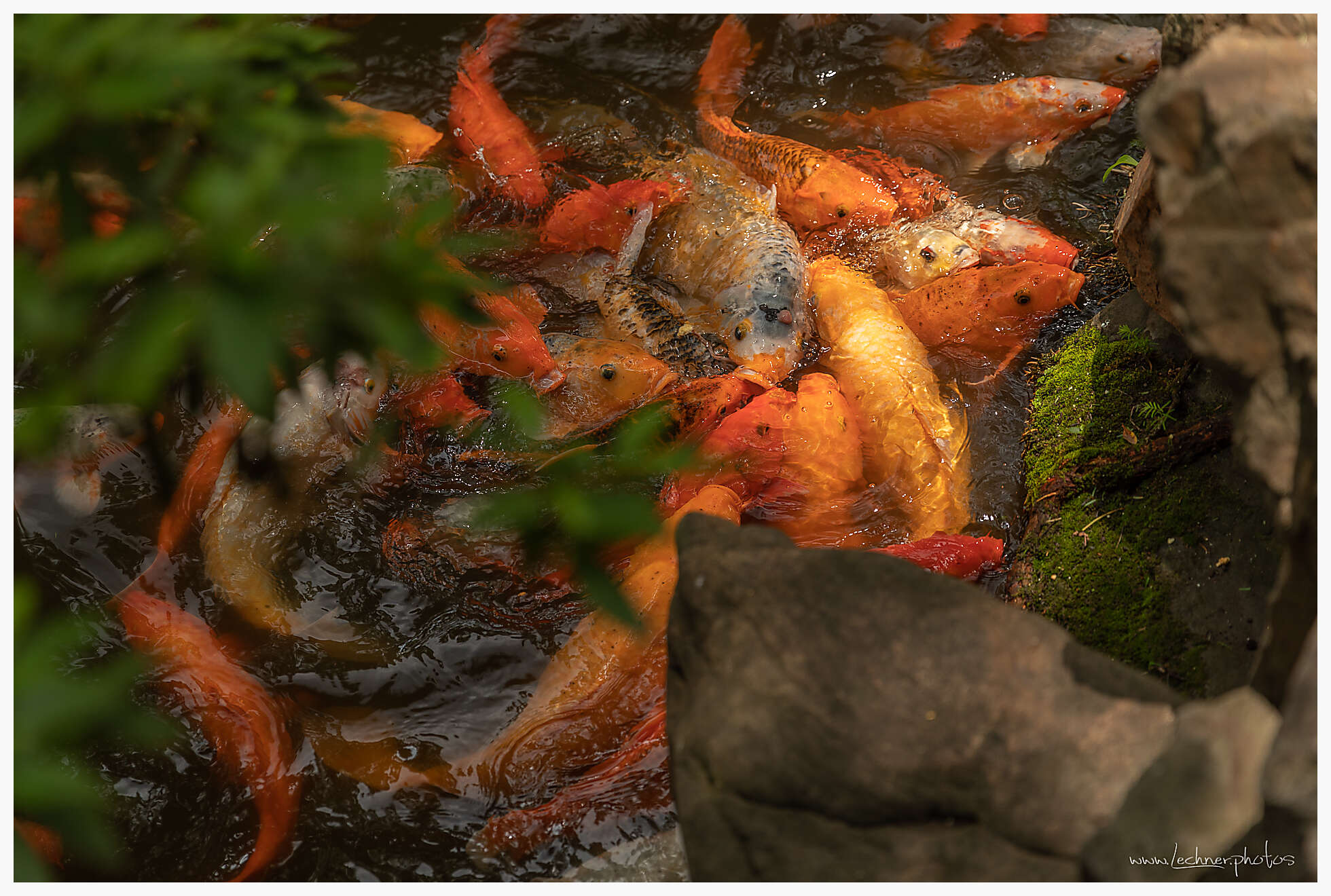 20190609 045500  49A7307