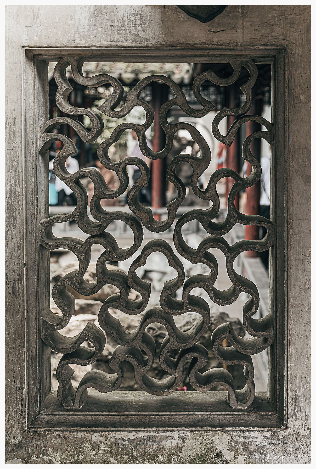 20190609 051131  49A7344