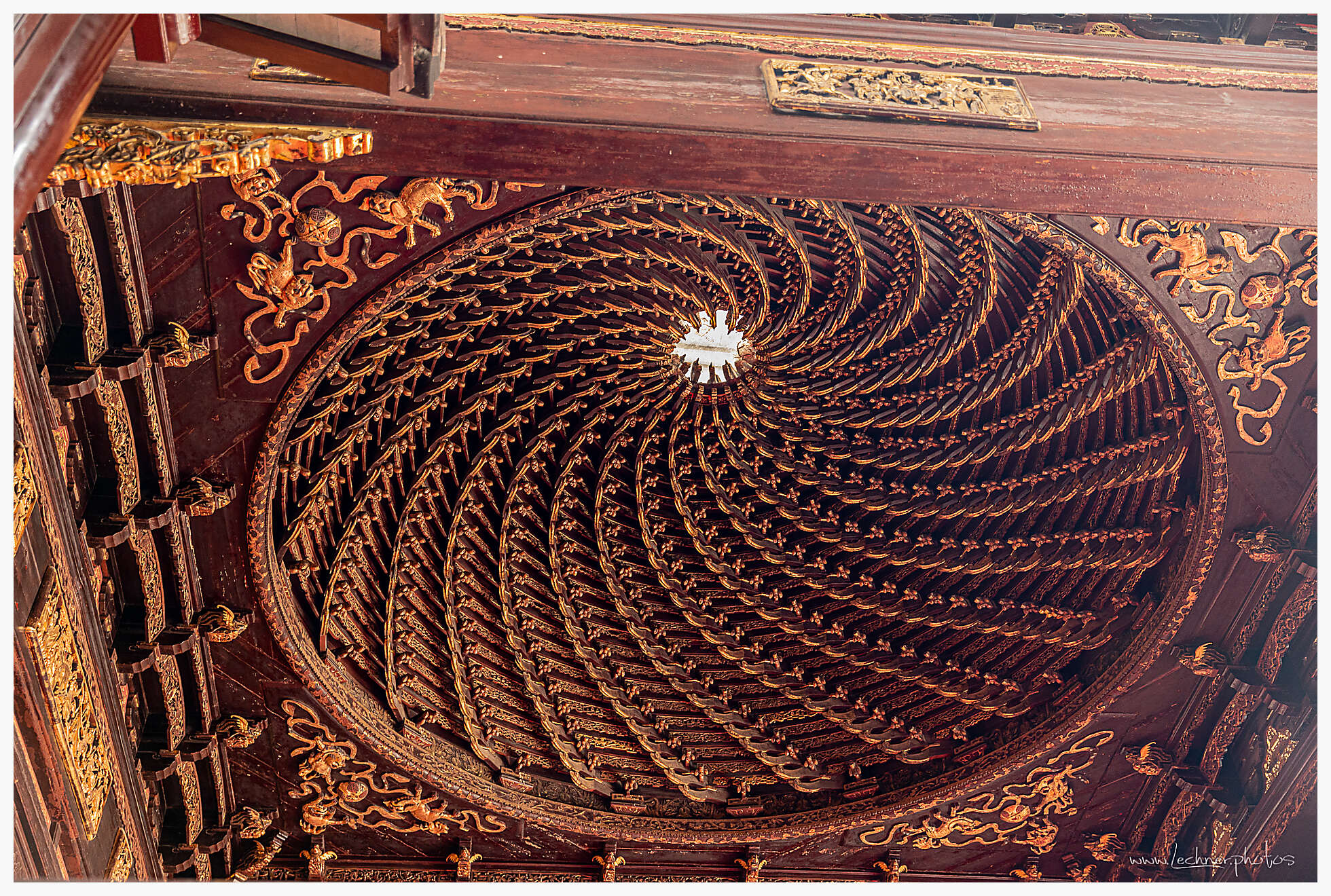 20190609 053557  49A7417