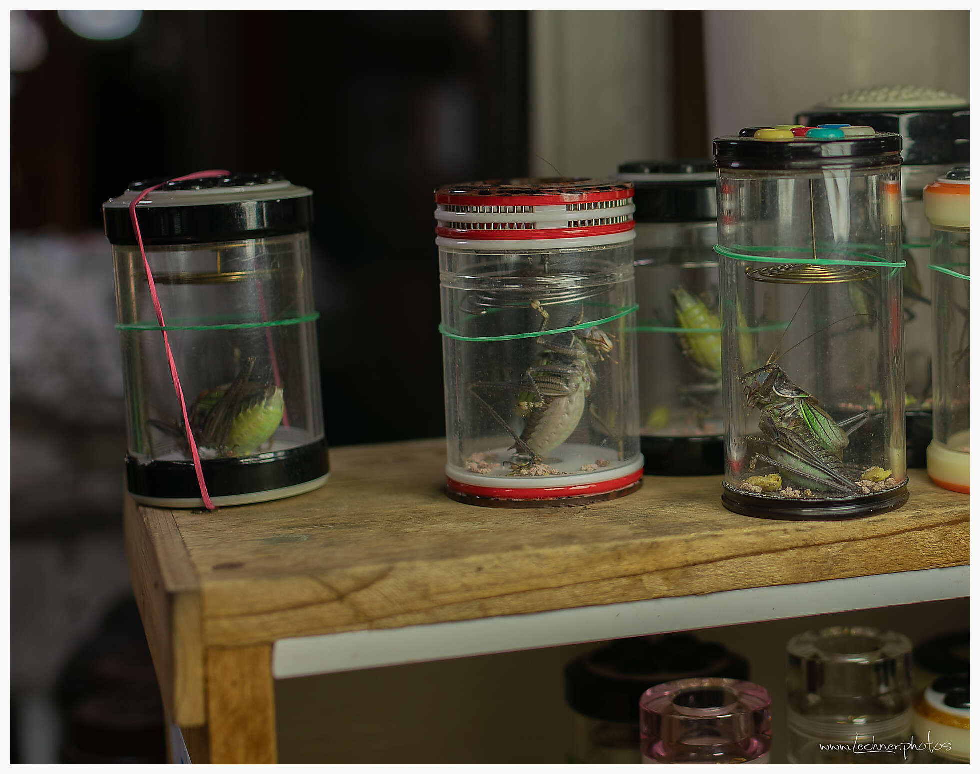 20200517 162510  49A6162