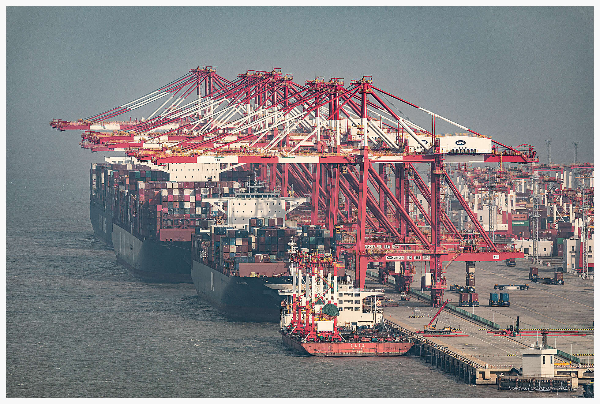 20200712 072257  49A7309