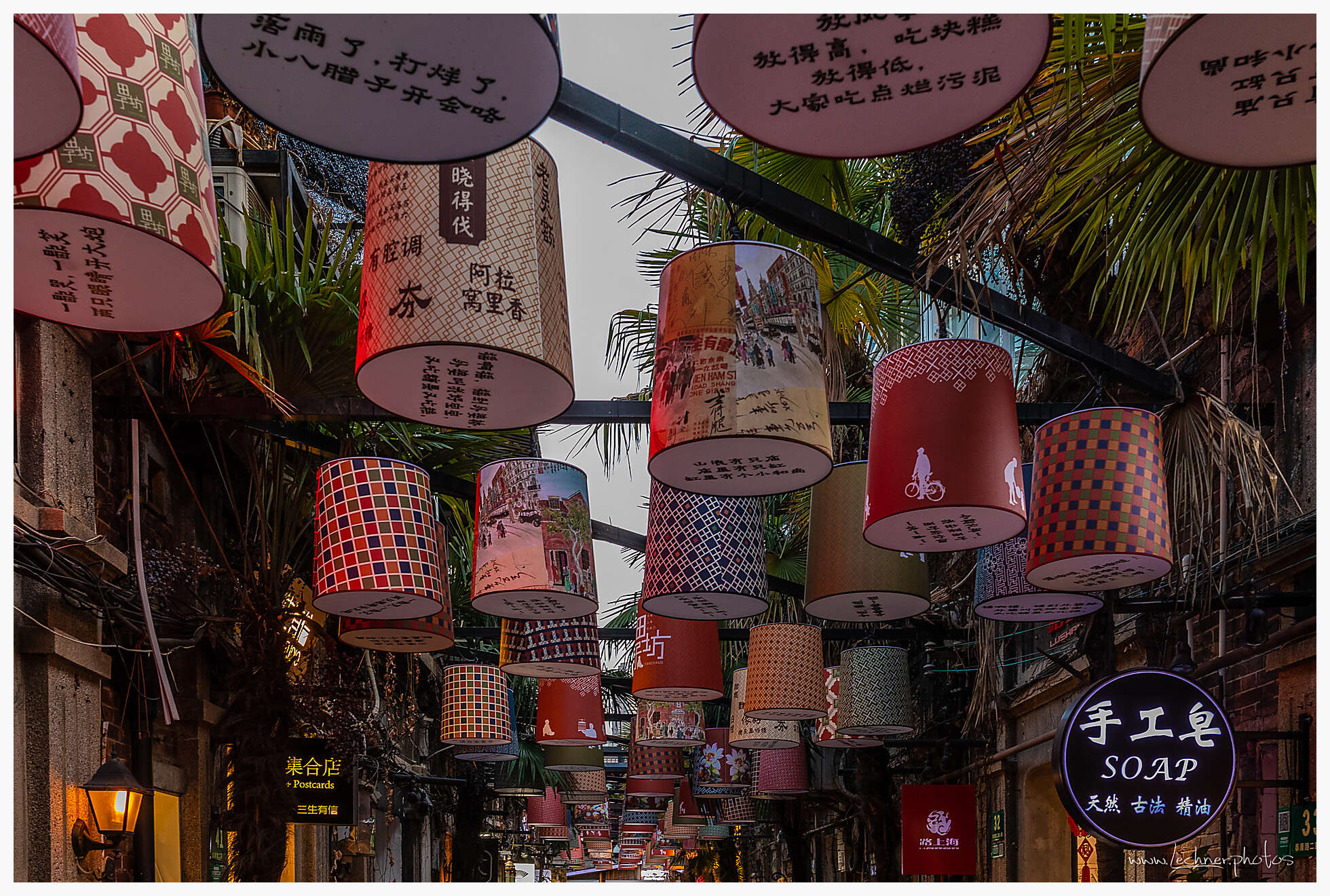 20210214 17 37 06  49A5291