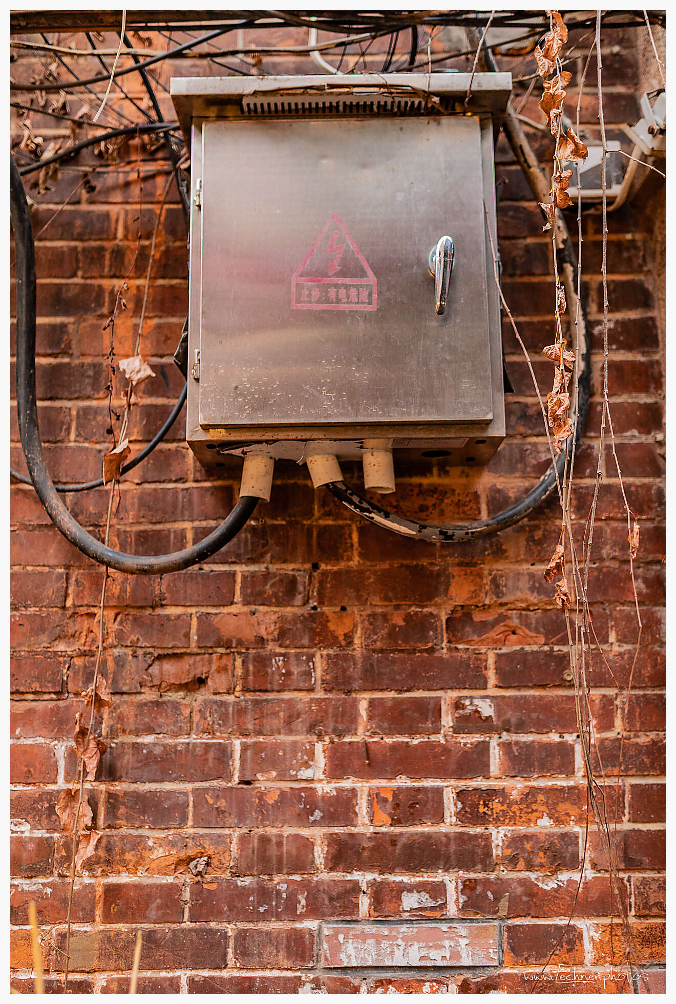 20210214 17 41 54  49A5296