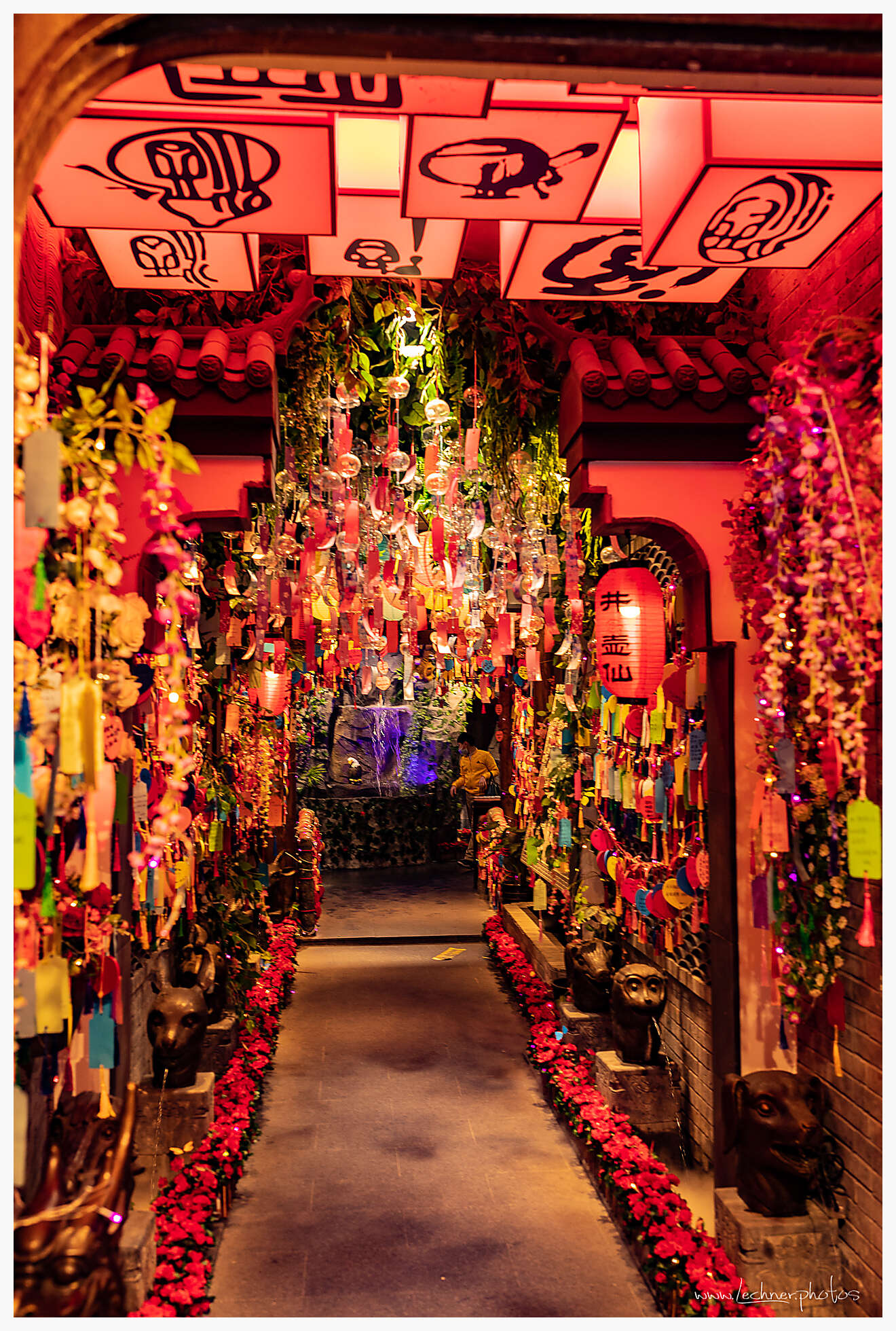 20210214 18 02 38  49A5339