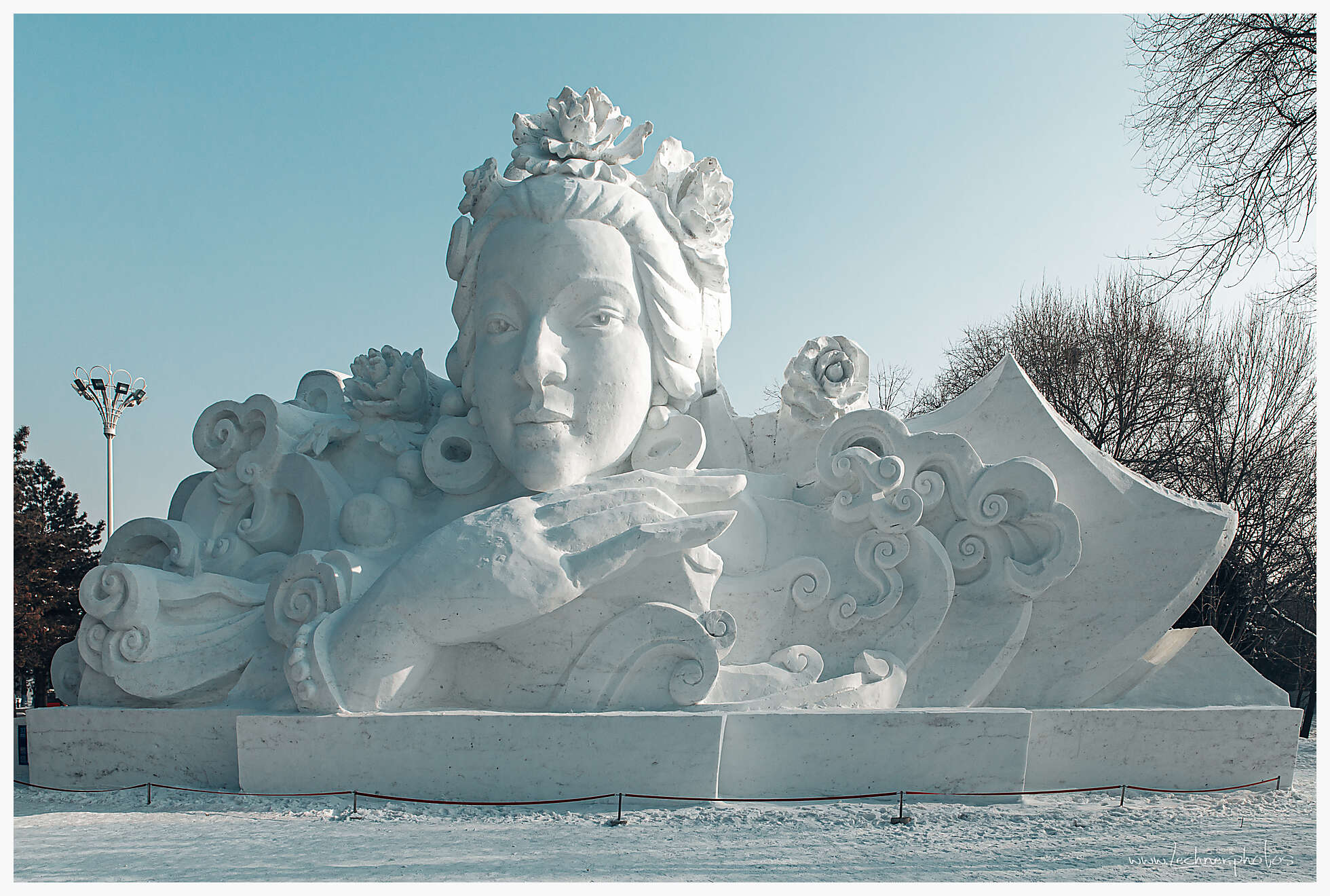 20200118 103750  49A3160