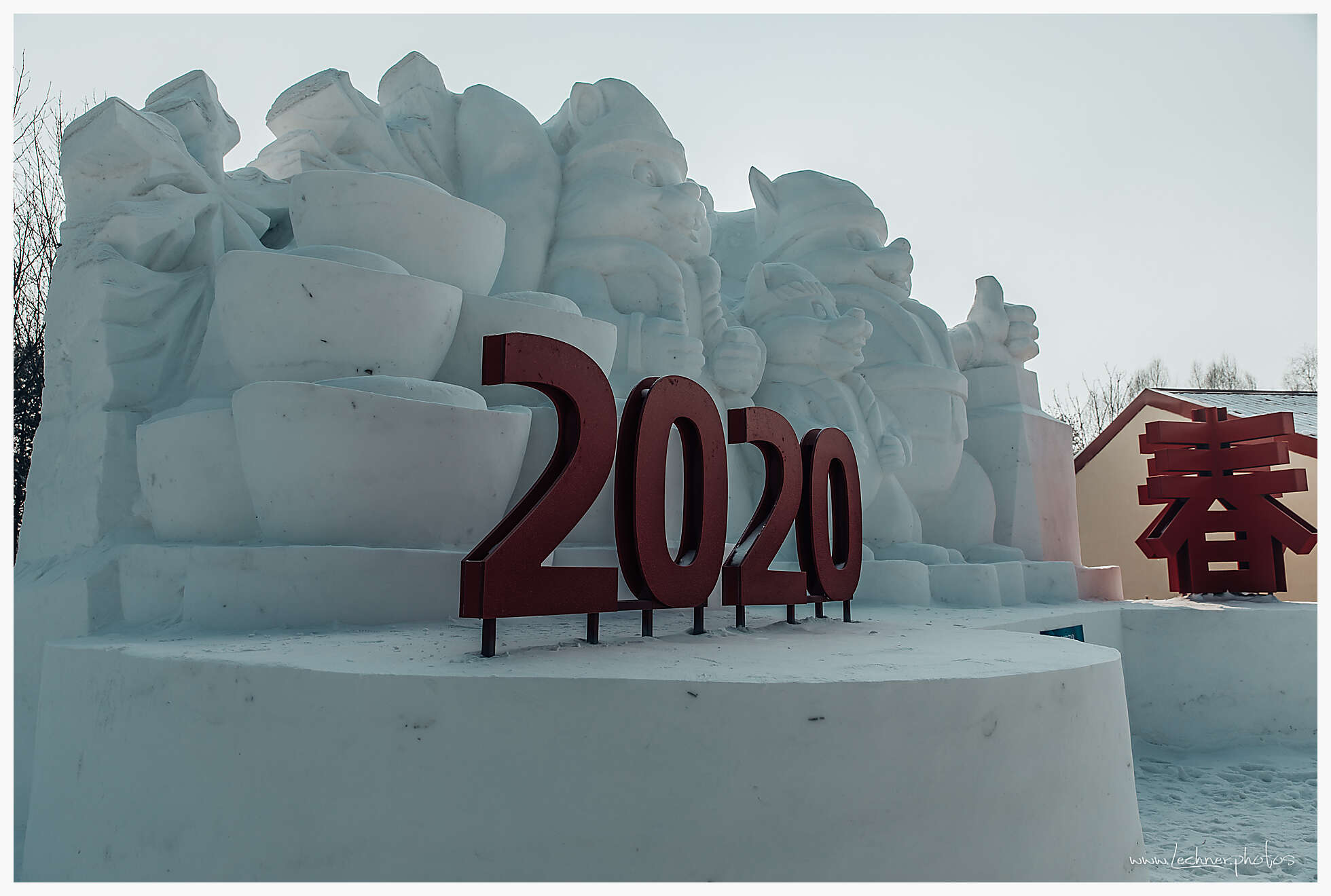 20200118 104302  49A3175