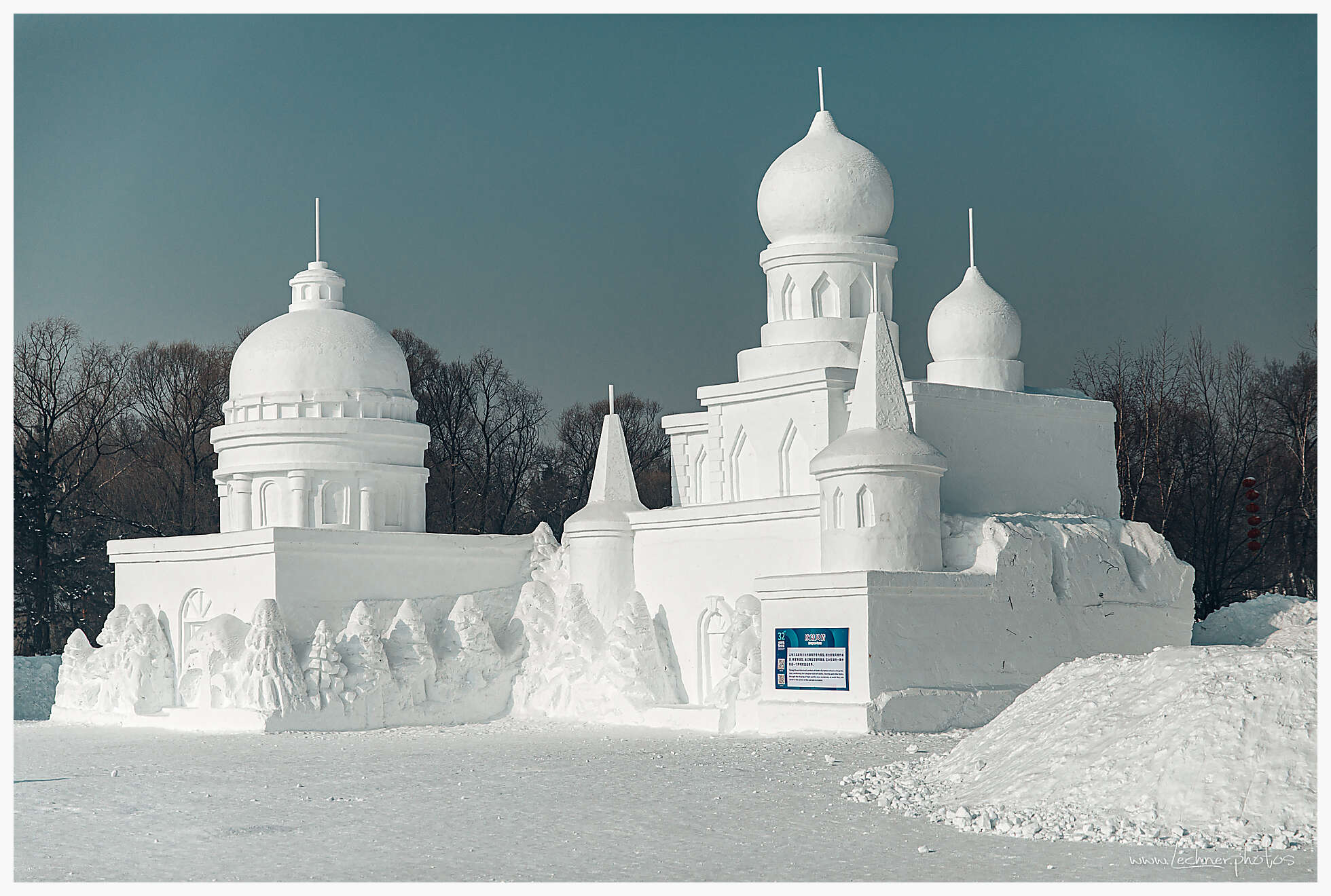 20200118 110950  49A3235