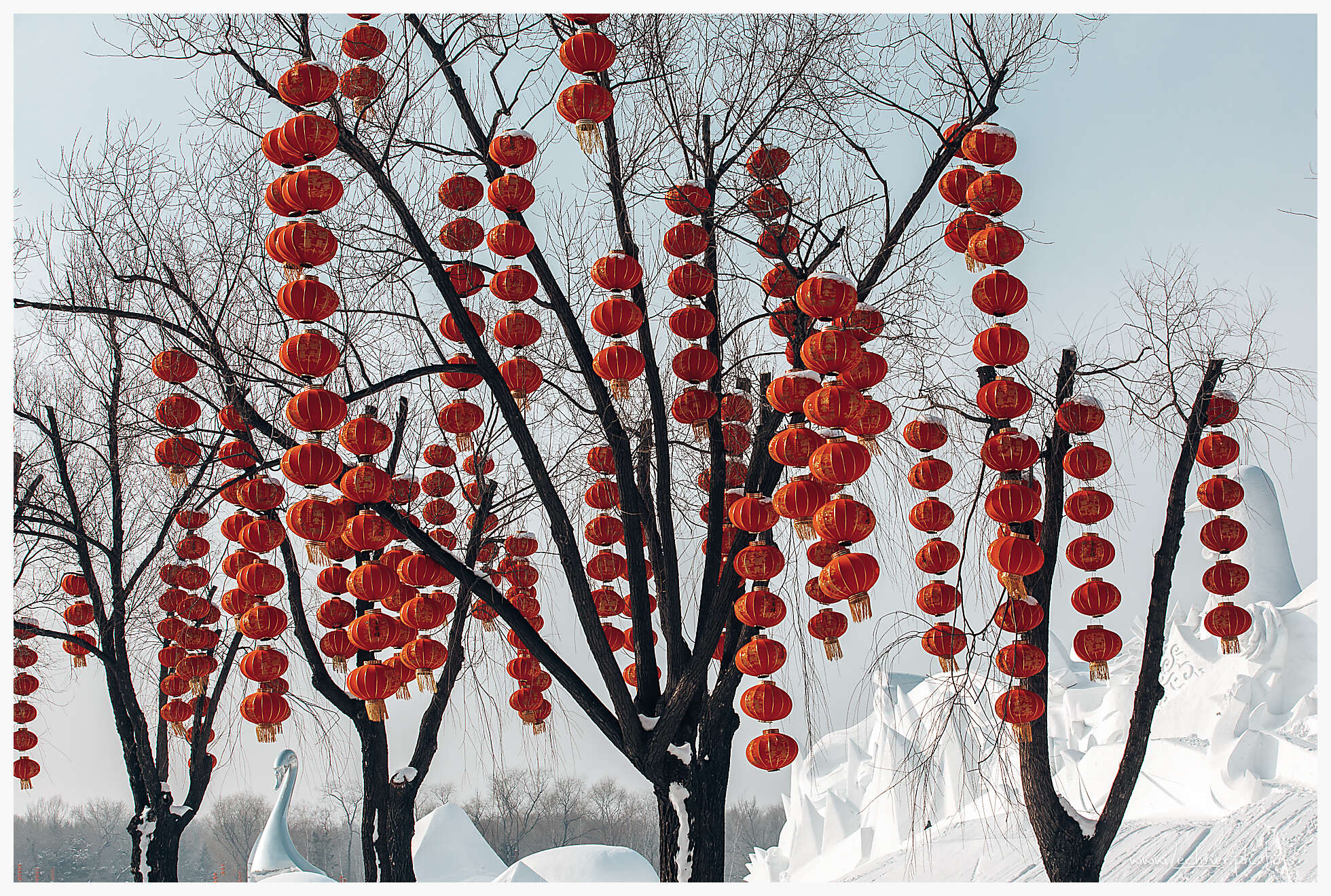 20200118 122633  49A3362