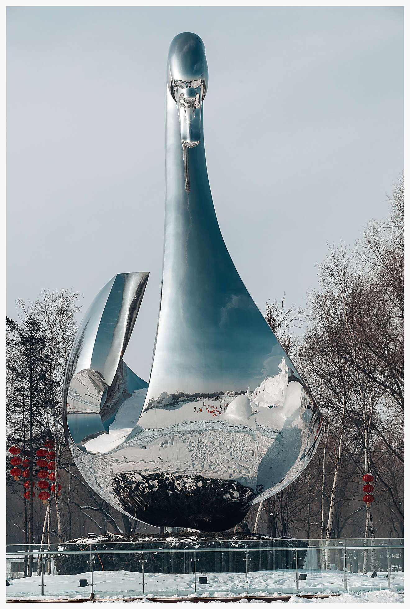 20200118 123339  49A3389