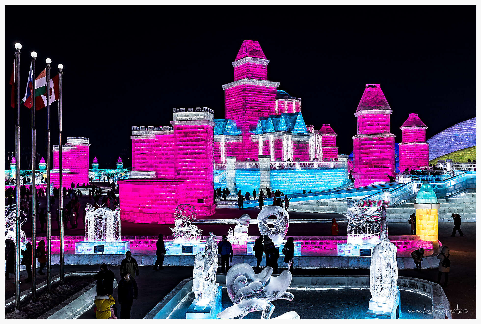 20200118 165759  49A3489