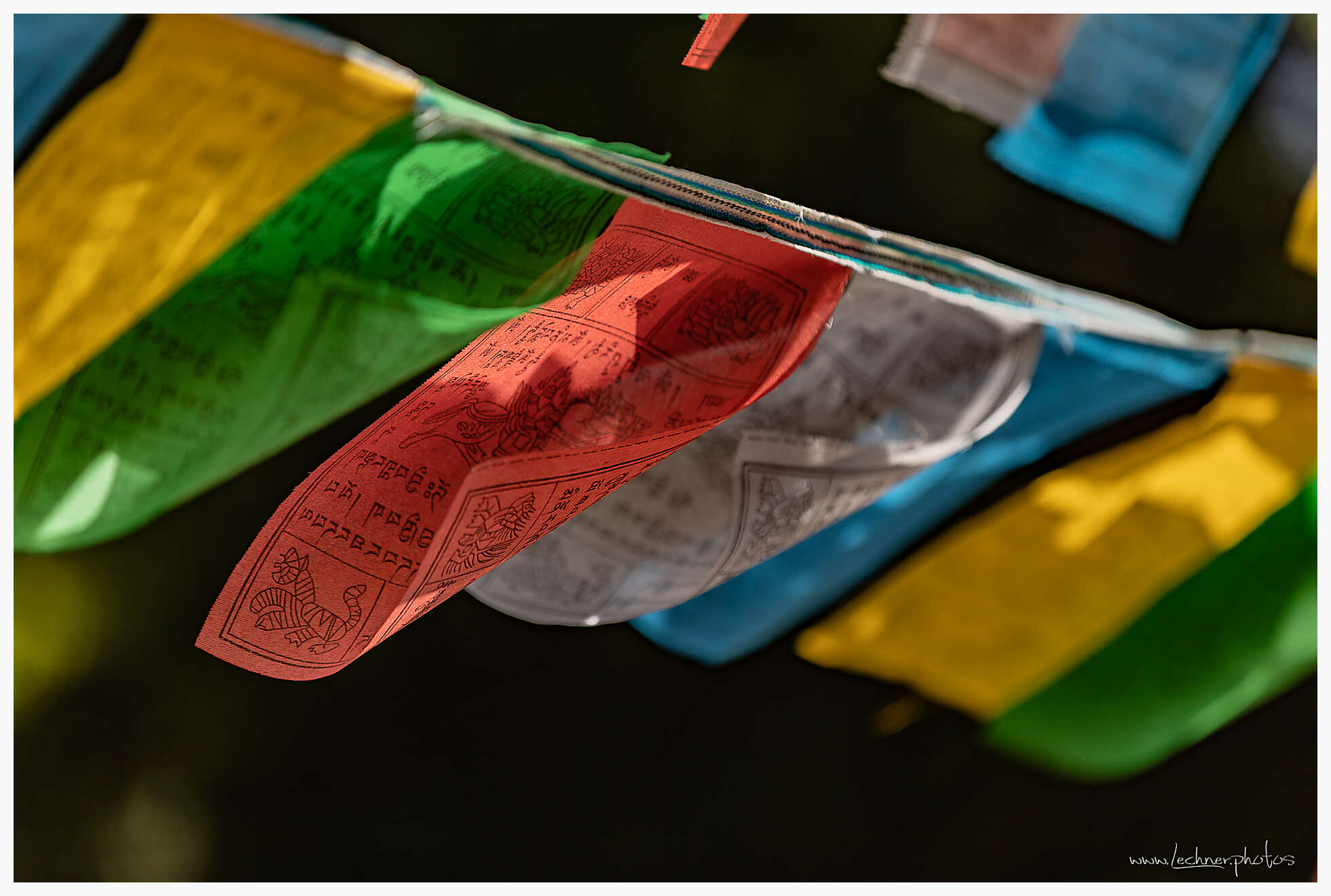 20200727 143534  49A8014