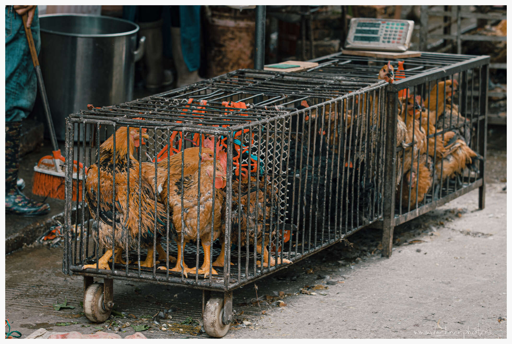 20200731 092446  49A9701