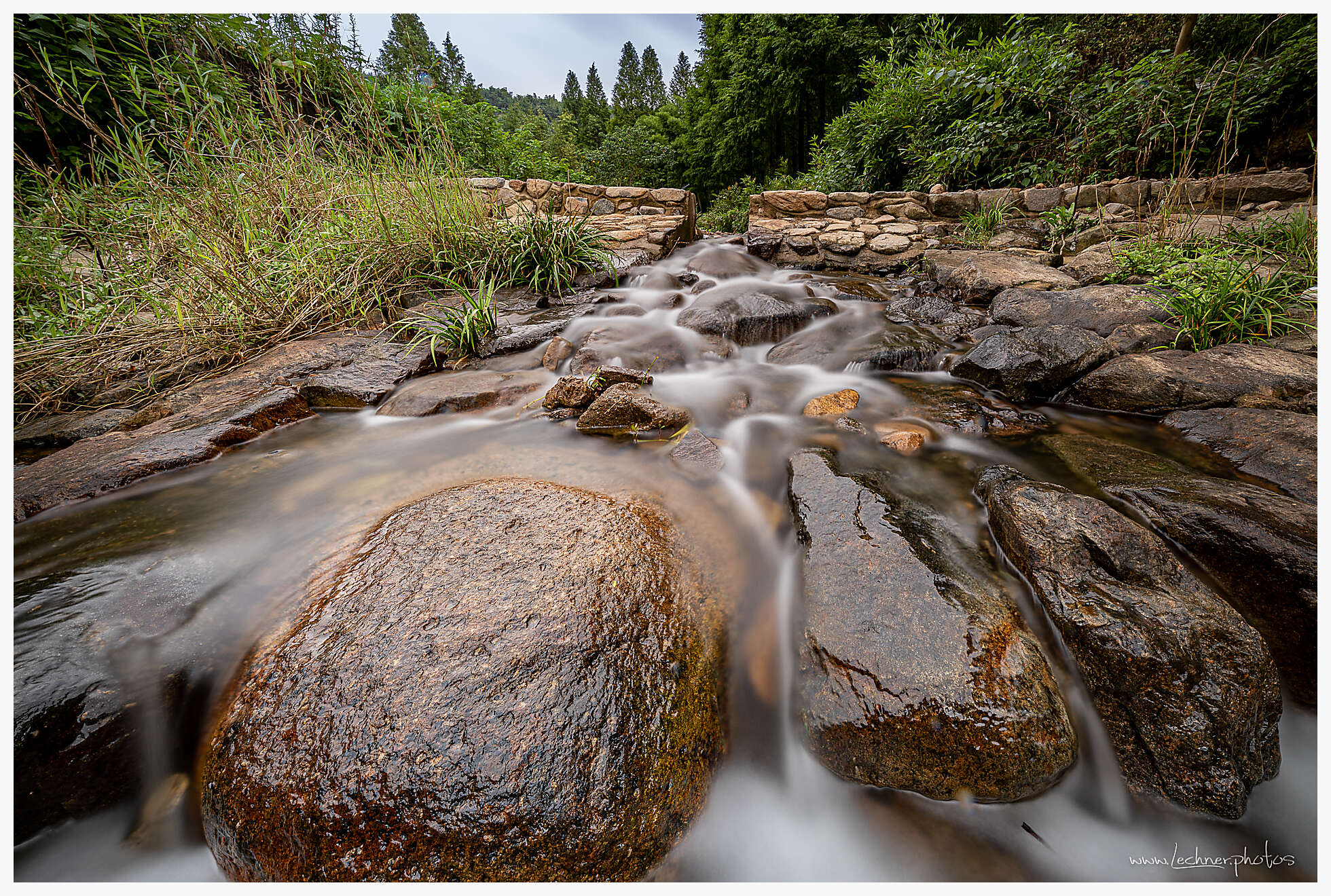 20190804 093603  49A7871