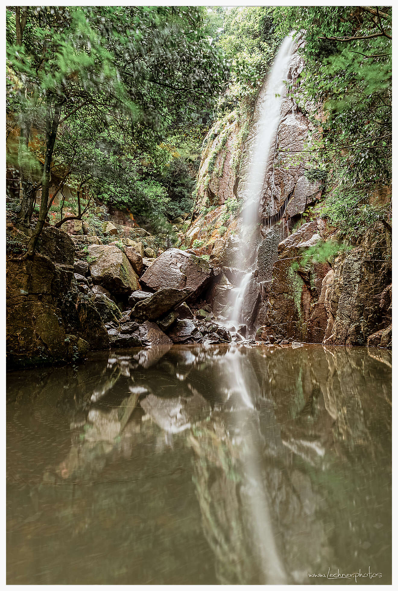 20190805 055224  49A8107 Bearbeitet